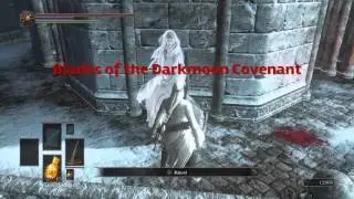 Dark Souls III: Painting Guardian Sword &  Set Location