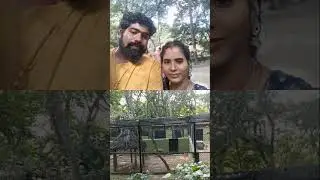 Karnataka Mysore zoo  my family trip