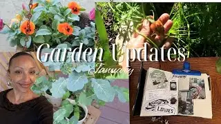 January Garden Updates! #gardening #gardenvlog