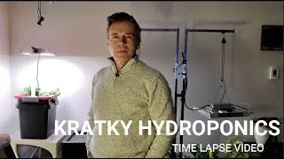 B.A. Kratky Hydroponics Time Lapse