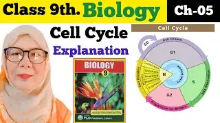 Cell Cycle| Cell Division Biology Class 9 Chap 05 Cell and Tissue|Federal Board