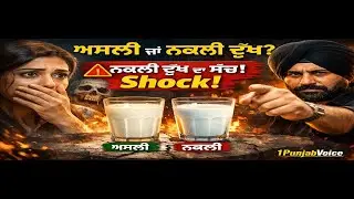 ਤੁਸੀਂ ਜੋ ਦੁੱਧ ਪੀ ਰਹੇ ਹੋ… ਕਿਤੇ ਨਕਲੀ ਤਾਂ ਨਹੀਂ?How to Identify Fake Milk | Real vs Fake Milk Tests |...
