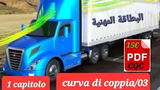 CAPITOLO«1«CQC-CURVA DI COPPIA