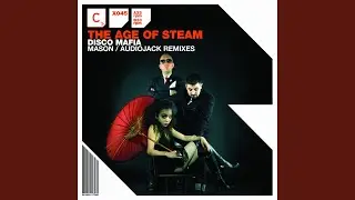 Disco Mafia (Audiojack Remix)