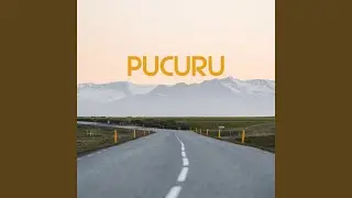Pucuru