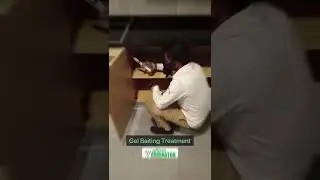 Pest Control in bahrain | cockroaches, & mosquitoes, bees, termites, bed bugs and Other insects.