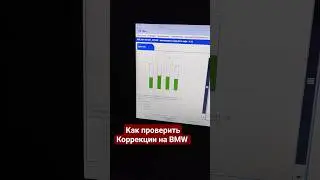Как проверить топливные коррекции на дизельных двигателях BMW #ista+ #Rheingold#автоподборкраснодар