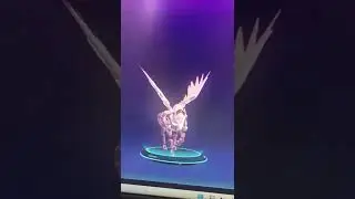 Bots in Pegaxy not Racing