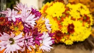 How to create a Floral Pumpkin