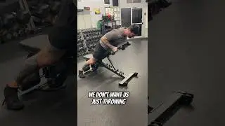 Tricep Kickbacks (incline bench)