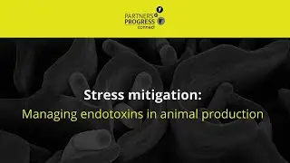 Stress mitigation: Managing endotoxins in animal production.