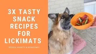 Snack recipes ideas for LickiMat's