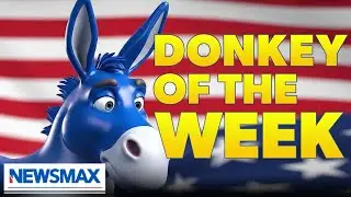 &lsquo;Donkey of the Week&rsquo;: Frey, Willis, Schumer? | The Right Squad