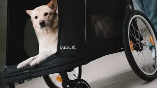 MERLIE MW8 ｜ DOGGIE HAND WAGON