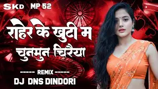 राहेर के खूंटी में चुनमून चिरैया Dj Mandla Mix 2025 Dj DNS DINDORI 2025 New Dj Cg Mix Dj Remix Song 