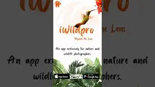 iWildpro - An app exclusively for nature and wildlife photographers