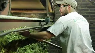 Cooperativa Pipor&eacute;
