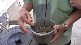 Patoense cria mini usina Terrael&eacute;trica que gera energia com carv&atilde;o, zinco e areia molhada
