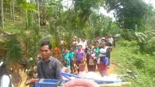 Plm sndy