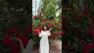 Nature #music #naturelovers  #subscribe  #tranding  #trandingshorts  #snehasachdeva #likeforlikes