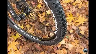 In test: WTB Convict TCS Tough/High Grip - TCS Tough/Fast Rolling 27.5 x 2.5