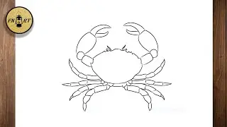 How to draw a crab easy step by step for beginners