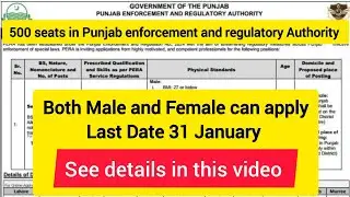 500 seats in Punjab enforcement and regulatory Authority#Male and Female both can apply#jobsupdates 