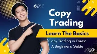 Forex Copy Trading: How Beginners Can Profit Like Pros! | Money Door