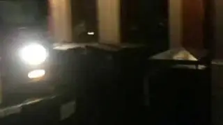 Big rats in new Orleans