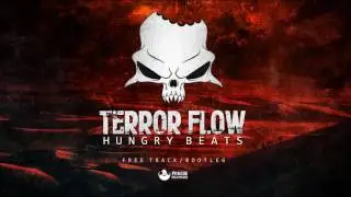 HUNGRY BEATS - TERROR FLOW