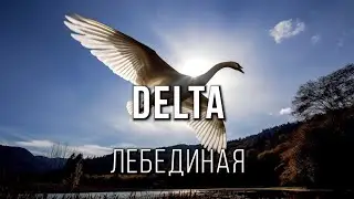 Вячеслав Мырзин и группа DELTA - Лебединая 