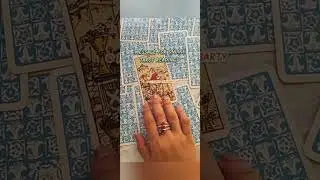 Boost your career with my online tarot readings. Msg for personalized tarot sessions. #dailytarot