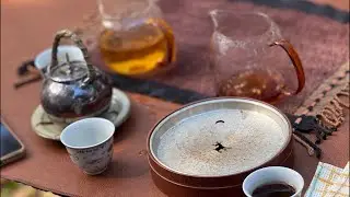 喝茶聊天咯……#普洱茶 #food #茶 #以茶會友 #古樹茶