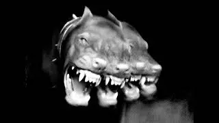 Dark boom bap x Griselda type beat 