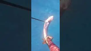 Una con el Rob Allen  #pesca #pez #peces #fishing #gopro