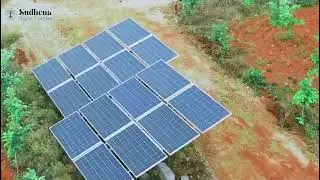 Sudhena Agro Farms Red Sanders Plantation Farms |