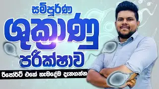 සම්පූර්ණ ශුක්&zwj;රාණු පරීක්ෂාවක වාර්තාවක් කියවමු | Seminal Fluid Analysis Report sinhala