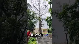 My Perth Diaries | Stirling Gardens #australia 323 | 1608