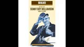 Sonny Boy Williamson - Your Imagination