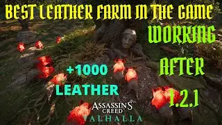 Best Leather Farm working after 1.2.1 AC Valhalla