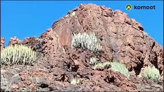 Barranco del Toro #Wanderlust #hike #wandern #travelphotography #travel #grancanaria