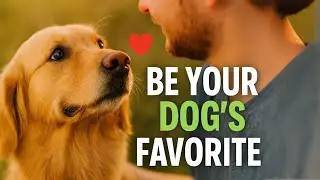 How Dogs Choose Their Favorite Person (Backed by Science)
