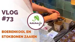 MOESTUIN VLOG #73 | Stokbonen, sojabonen en boerenkool zaaien, tomatenplanten planten en dieven 🌱🍅