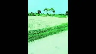Beauty of Jungle (Forest).MAKS TV Production @Abdul2130 . 🏡🏠🐠🌻.