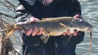 Fishing the Jordan River 2023 for BIG FISH!