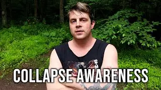 Eight Years of Collapse Awareness