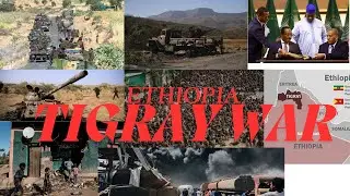 THE TIGRAY WAR