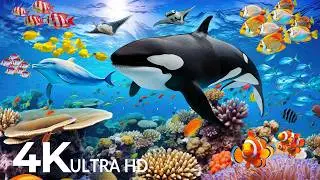 Underwater Wonders 4K - Amazing Fish, Coral Reefs & Sea Animals - Fish Tank Sound For Deep Sleep #25