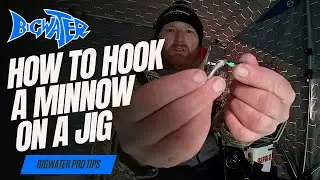 How to Hook a Minnow on a Jig for Fishing