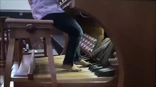 Bach Trio Sonata II: Largo - MJS (barefoot)